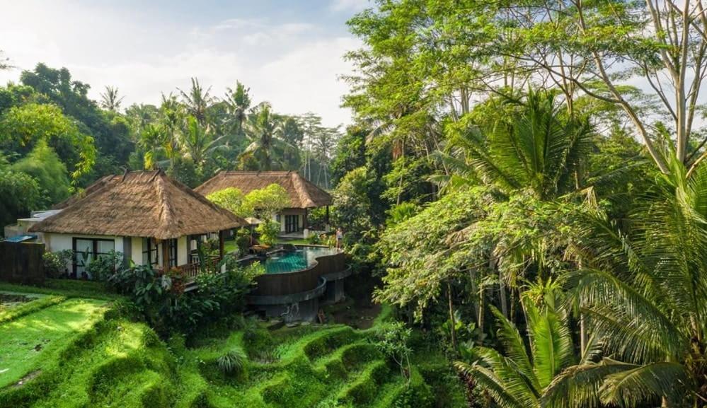 Villa Amrita Убуд Екстериор снимка